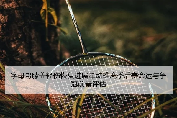 字母哥膝盖轻伤恢复进展牵动雄鹿季后赛命运与争冠前景评估